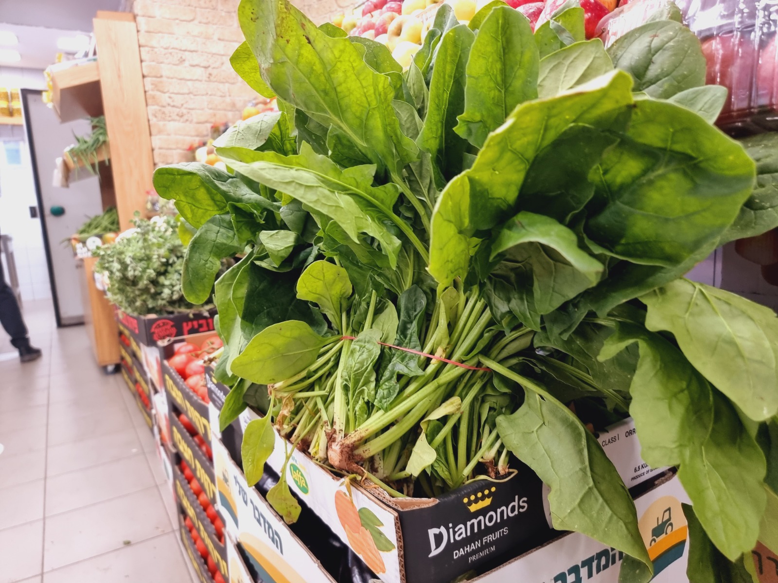 WhatsApp Image 2022-03-29 at 1.24.50 PM.jpg